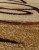 Ковер VALENCIA 2 5426 - BEIGE Ковер VALENCIA 2 5426 - BEIGE