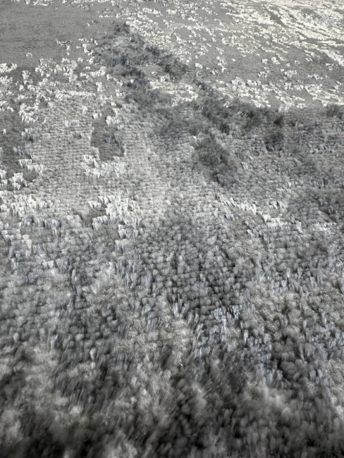 Ковровая Дорожка AMINA NP208 GREY Ковровая Дорожка AMINA NP208 GREY